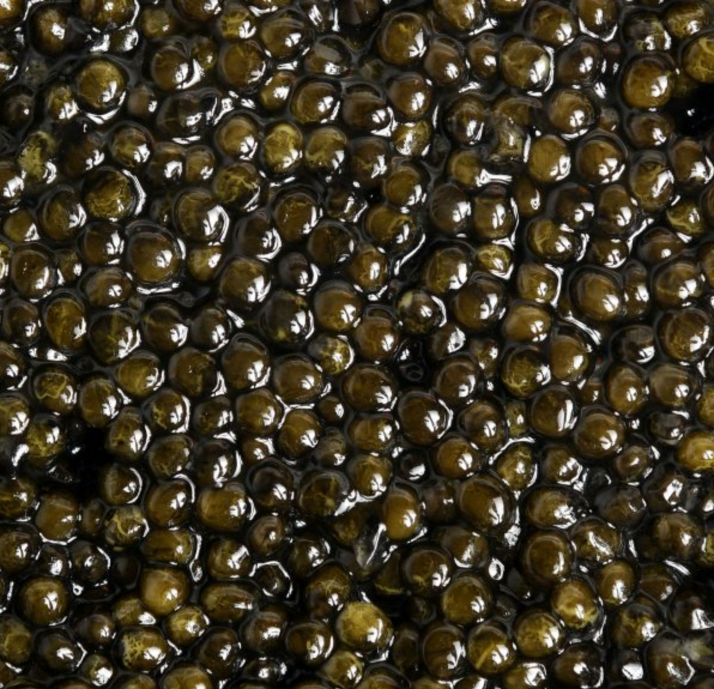 close up of caviar