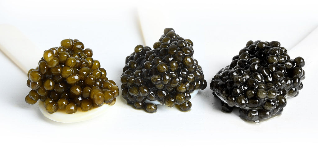 samples of three kinds of caviar, select, reserve, and premier