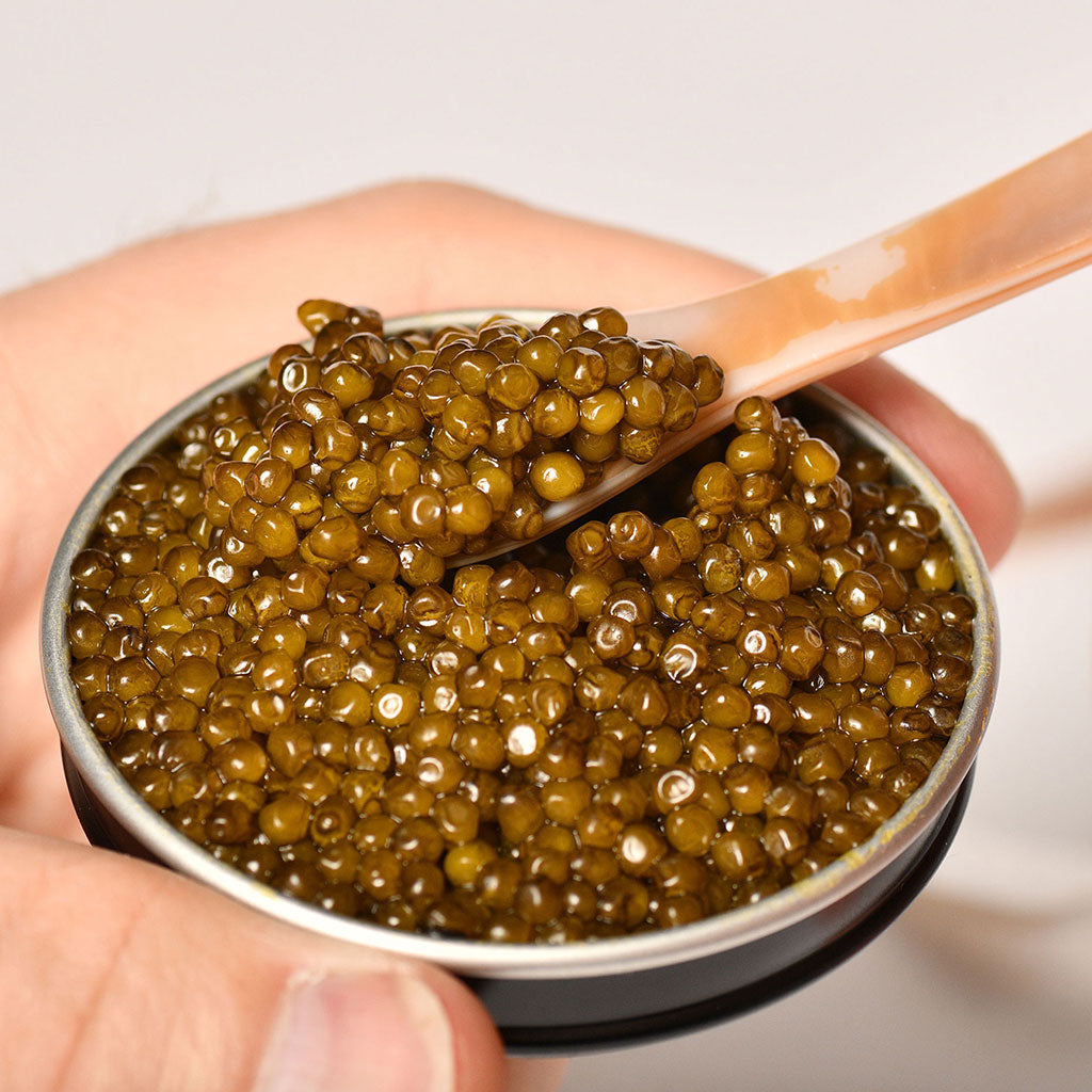 close-up of reserve caviar in tin with mother of pearl spoon